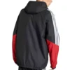 FIFA World Cup Germany Tiro Jacket back
